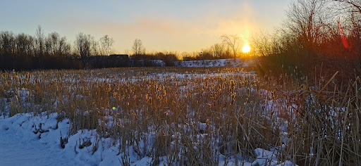Photo of Laurier Woods Conservation Area - Brule St, North Bay, ON P1A 3Z5